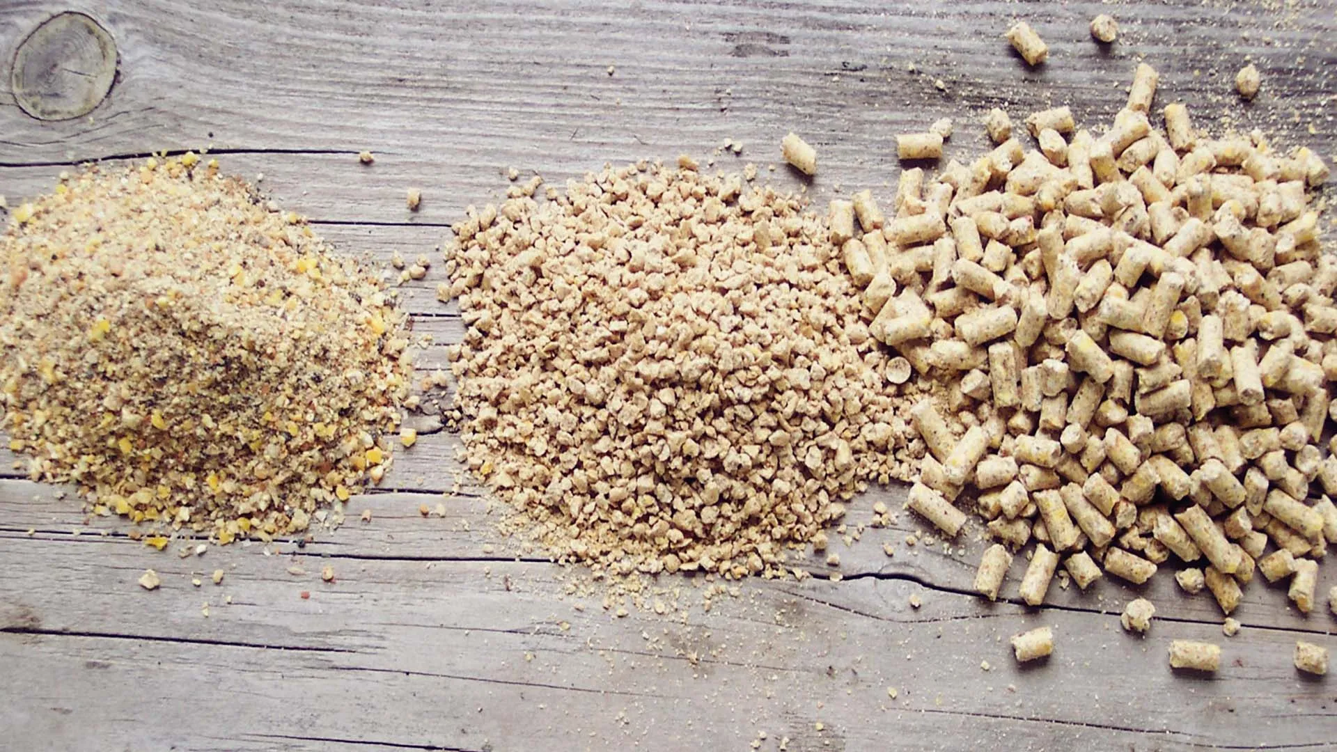 Комбикорм для цыплят бройлеров